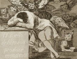 сон разума рождает чудовищ