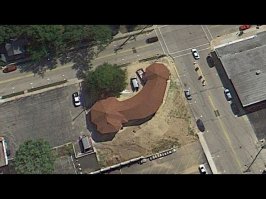 Пёс следовал за фотографом Google карт и попал в каждый кадр