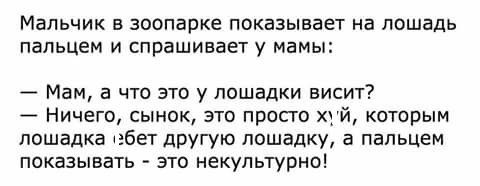 Эээээ... Это точно была лошадка, а не конь?