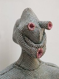 Сфинктероглазый ротожоп пупырчатый, самка)