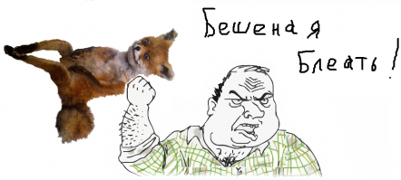 Бешеная лисица напала на водителя грузовика, но он нашел чем ей ответить