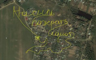 Чем занимаются кошки ночью, пока вы спите