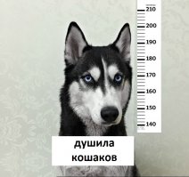 Вот она - скромница...