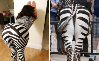 Жизнь, она как зебра. Полоса чёрная, полоса белая. А там, где полосы сходятся - *oпa