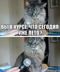 "Вот такое вот хреновое лето"