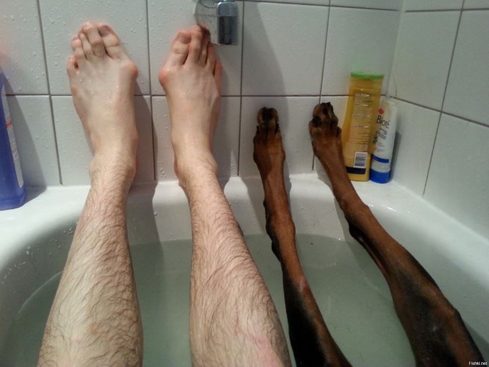 У него жена не бреет ноги!
