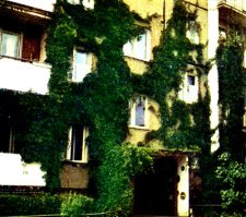 Блиать удивили!