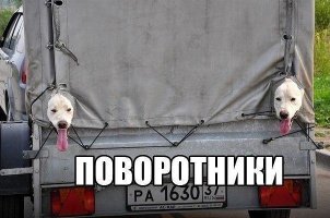 Подборка прикольных картинок из паутины