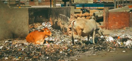 Дели и Агра