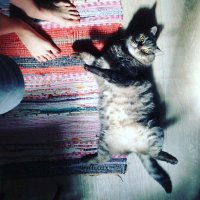 хорошая подборка