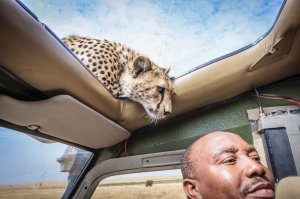 Ты про эту консерву?