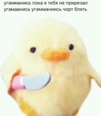 Подборка прикольных картинок из паутины