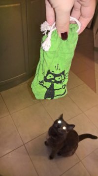 Мы нашим тоже покупали в зоомагазинах кошачью мяту, зашитую в мешочек - они её обслюнявливали до жути, но из лап не выпускали. Когда он был уже настолько мокрым, что хоть выжимай, я выбрасывала и покупали новый. 

Потом как-то я кинула им просто пакетик с мятным чаем - восторг был тот-же, но вся квартира была им усыпана, потому что эти хвостатые жопы ровно через минуту разодрали этот пакет и понесли на лапах "мятную радость" по всему дому. Тогда я стала класть в мешочек несколько пакетиков с мятным чаем и давать им играть - коты довольны, обслюнявленный мешочек можно постирать, чай сменить. Вот такой круговорот мяты для наших хвостов.