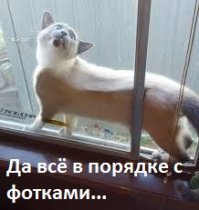 Что не так с этими фотографиями?