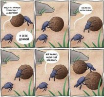 AliExpress для суровых мужиков!