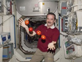 Магнитное поле Земли останавливая большую часть солнечного ветра накопило около 5 000 рад. Там ещё американцы ядерный боезаряд шлёпнули до кучи, чтоб проверить работу ядерной бомбы в космосе. При 1000 рад бактерии погибают, при 
 большей пластмасс рассыпается. Роботы отправленные в этом году в реактор Фокусимы померли за пару часов при 700 рад.  А теперь вопрос! Кто был на Луне если луна дальше этого радиационного пояса, и какой аппарат куда полетел за пределы орбиты земли? 
Ответ: никто никуда не летал и пока не полетит. 
Добью насмерть....
См.Фото
1.Кто нибуть про скафандры для помидор слышал? Как их туда с большой перегрузкой доставили?
2. На кораблях и подводных лодках боятся разгерметизации и оч. следат за закрытием шлюзов и переборок. В космосе они всегда открыты. 
3. В космос летают в основном старики которым около 60 лет. Видимо пользуются железные люди с абсолютно здоровой кровеносной системой.
4.  Подстрижка усов в космосе занятие оч. увлекательное.  Так как с любая отлетевшая волосина имеет шанс угробить станцию.