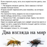 Один день из жизни советского человека