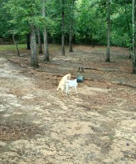 Страшненькая попалась?)))