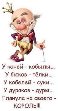 Подборка прикольных картинок из паутины