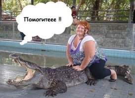 Была нормальной жизнь у крокодила,
пока не приехала турист Людмила...
