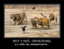 Неприятности, которые случаются в повседневной жизни