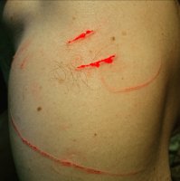 Лёжа на плечах? Моя британка мне на плечо попросту сиганула со шкафа.