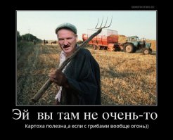 Ну картошка вообще страшный зверь.Сколько  картофельных бунтов было по миру,которые войсками подавлялись.Но теперь она мирная)).И просто не надо кушать в "маке" постоянно