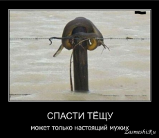 Во время ночного похода в туалет девушка встретила неожиданного гостя