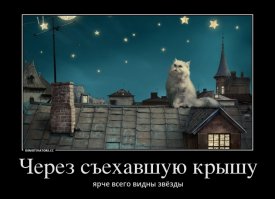 Подросток провалился сквозь крышу магазина в канадском торговом центре