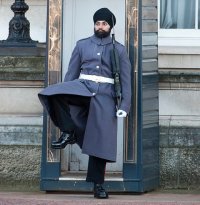 На дне рождения Елизаветы II произошел массовый обморок гвардейцев