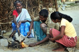 Бедные крыски