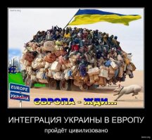 Всех переплюнула по количеству быдла Украина.
