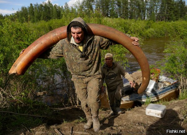 Главное лица не показывай - сказали копатели.
Ога- сказал забугорный фотокор.
Нууу тупыыеее- сказали копатели, увижев пост забугорного фотоклраина фишках.