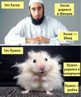 Что в Европе бывает бесплатно?