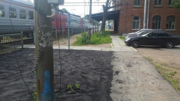 А тут то что?
Одинокий цветочек прорывающийся из свежего чернозема?
