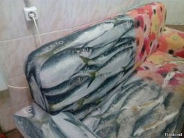 Приколы и маразмы в магазинах: странные товары