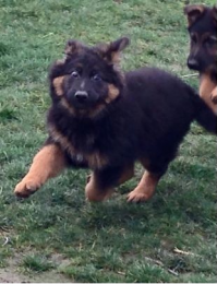 ОХ ТЫЖ ЁКЛМН...