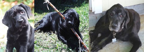 Такой седой. =С