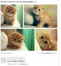 Смешные комментарии из социальных сетей