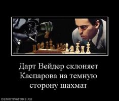 Очередная порция картинок с подписями и без