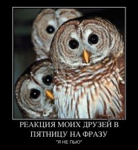 Очередная порция картинок с подписями и без