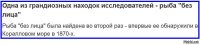 А потом возле той же Австралии поймали рыбу с лицом... с очень грустным лицом.
Рыба-капля