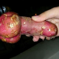 Вообще картошка это второй хлеб.