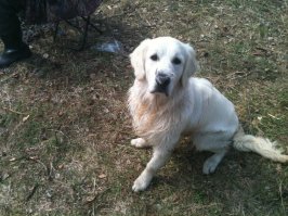 Мой Рой - 4 месяца и 2 года