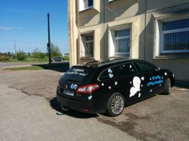 Автовсячина