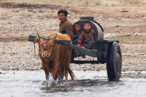 Какой-то фермер странный с бочкой для воды... Это водовоз! Там нет водопровода и с колодцами проблема, вот и возят воду, как у нас в 30-х годах и раньше.