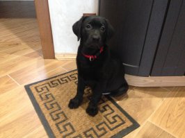 Сонечке 3-и месяца, и годик.