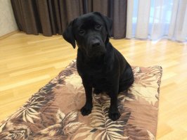 Сонечке 3-и месяца, и годик.