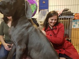 Мой пока не вырос. Он, вообще, еще очень маленький и пока со своей мамой. У него даже нет имени, только партийная кличка "товарищ оранжевый". Но его мама просто не влезает в кадр...