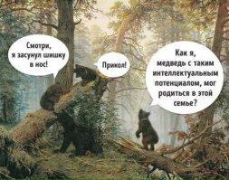 Подборка прикольных картинок из паутины